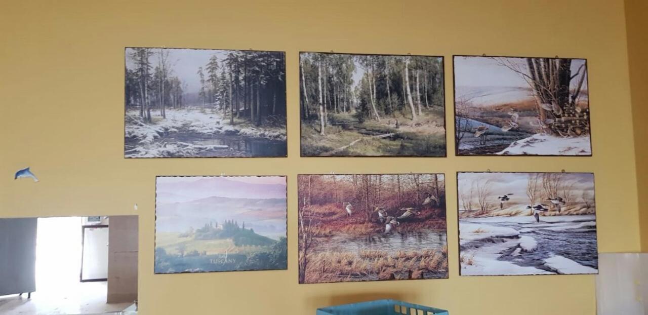 Leyla Hostel Брашов Екстер'єр фото