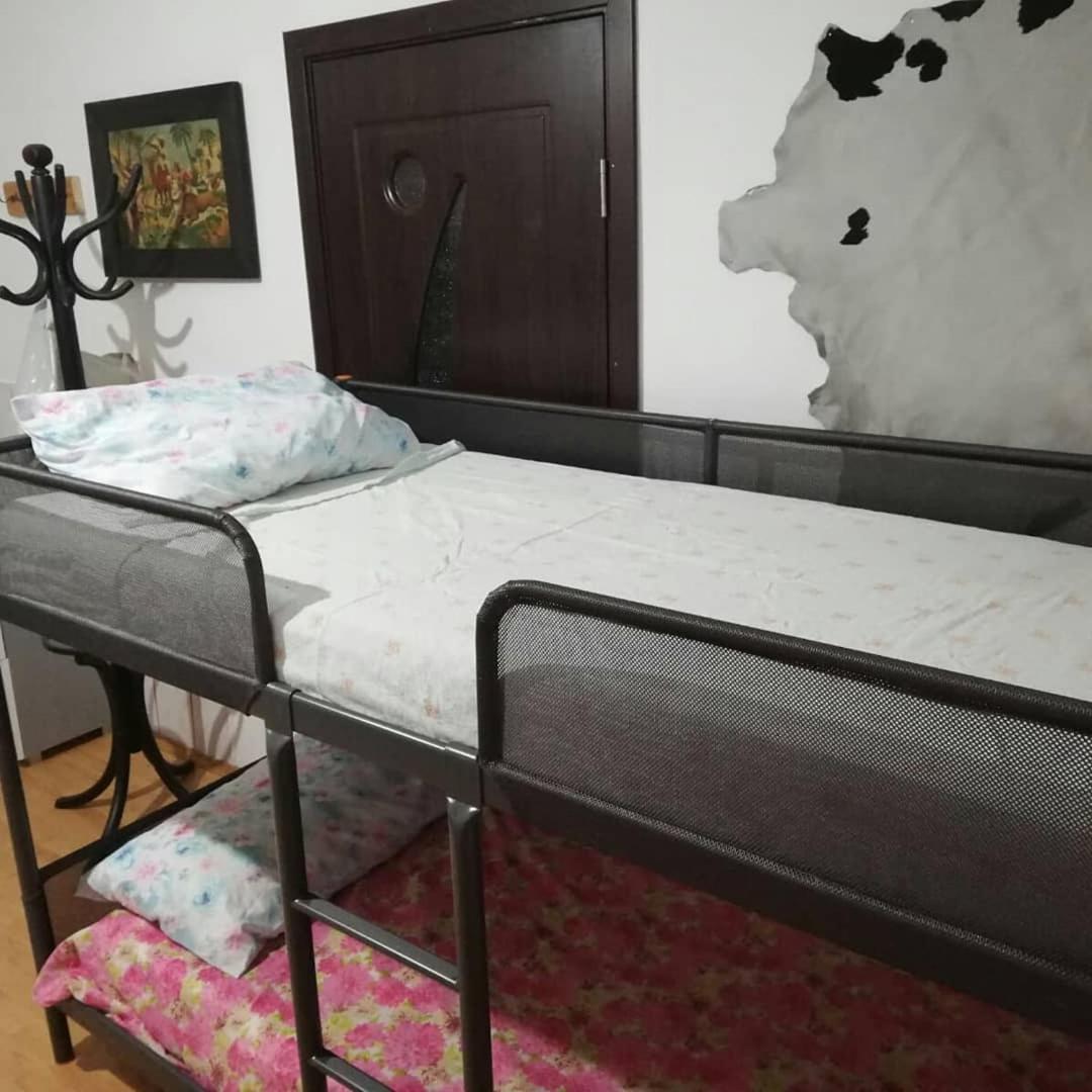 Leyla Hostel Брашов Екстер'єр фото