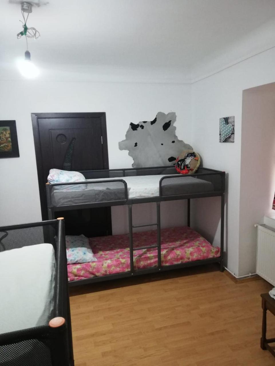 Leyla Hostel Брашов Екстер'єр фото