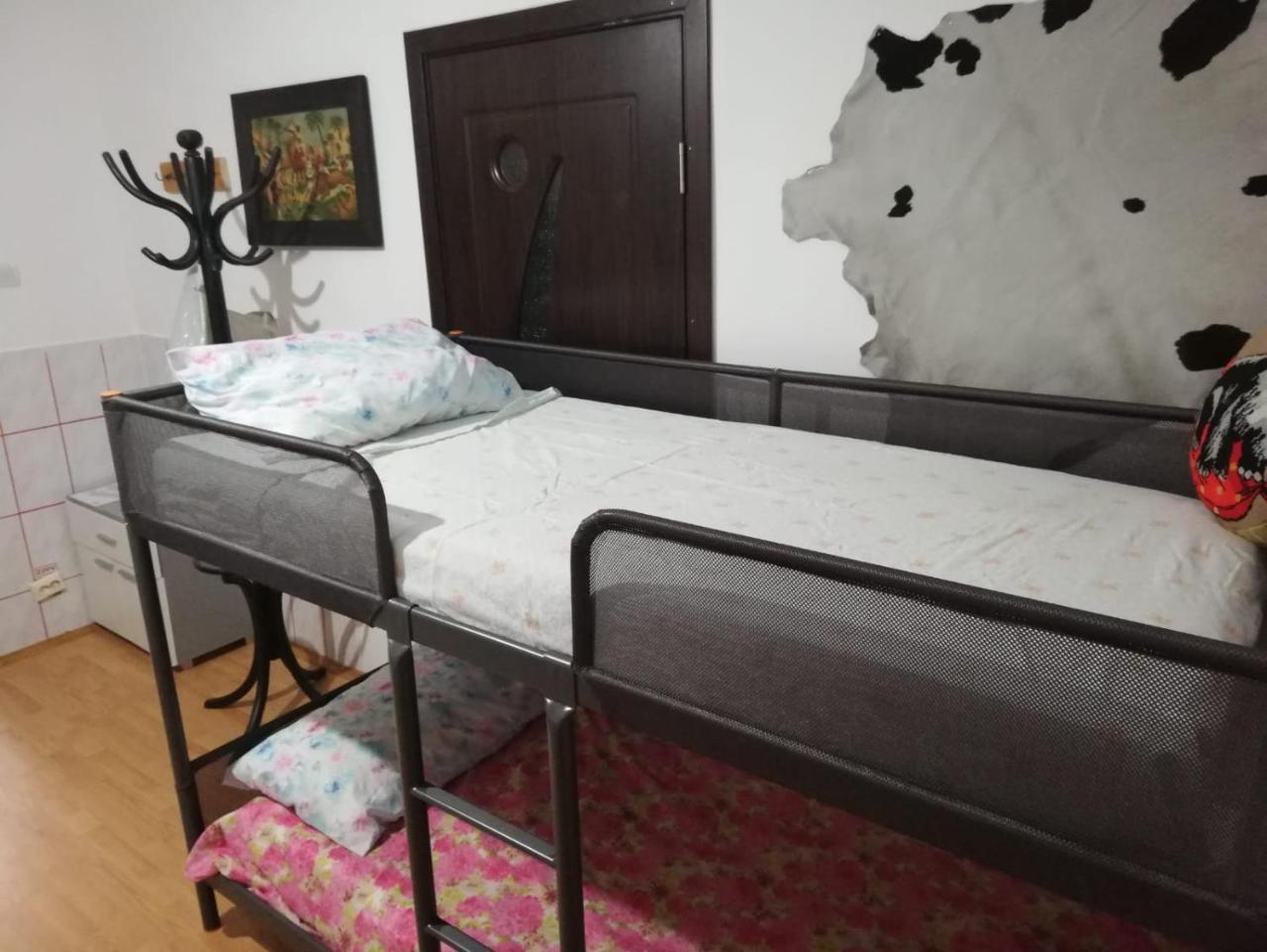 Leyla Hostel Брашов Екстер'єр фото