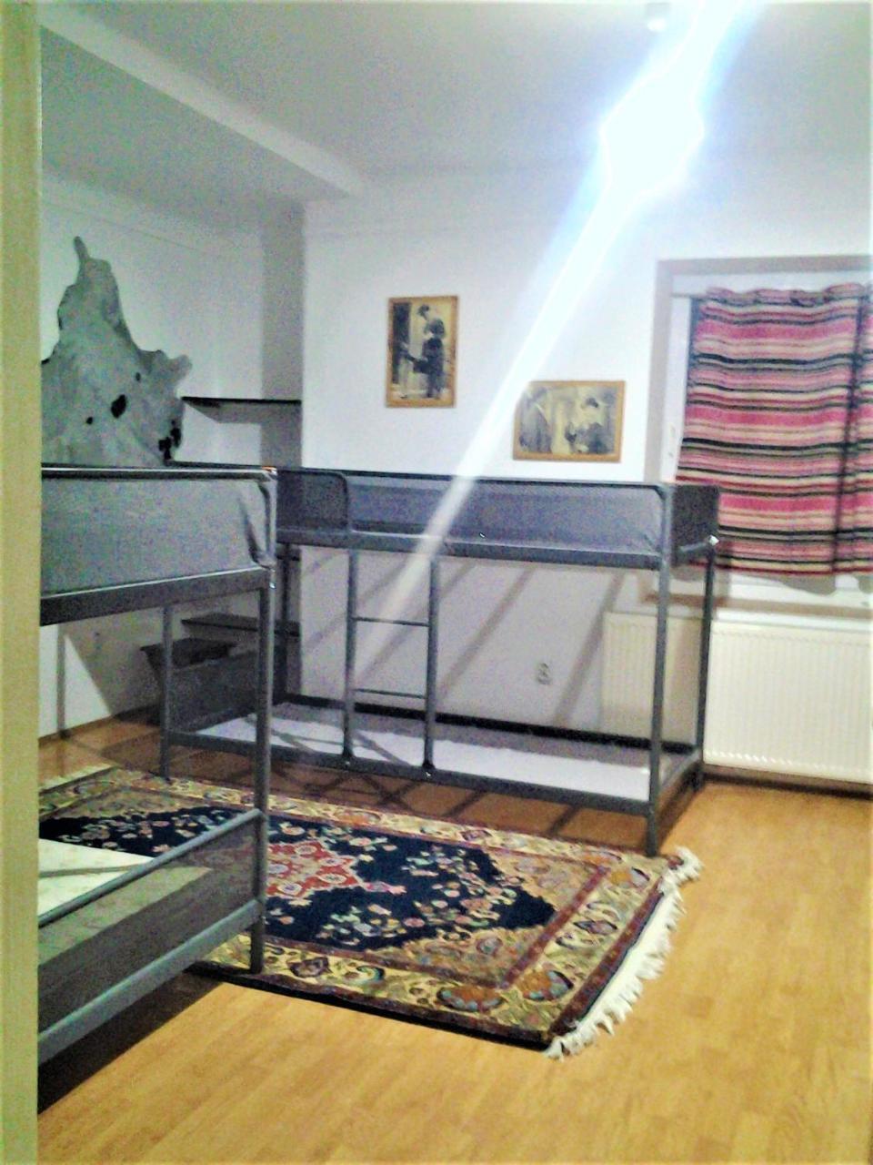 Leyla Hostel Брашов Екстер'єр фото