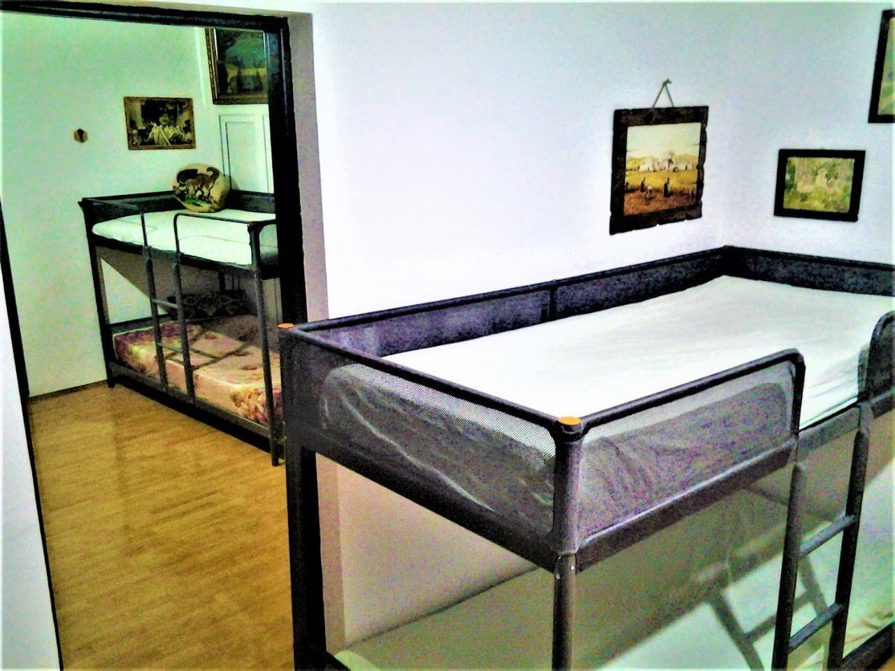 Leyla Hostel Брашов Екстер'єр фото