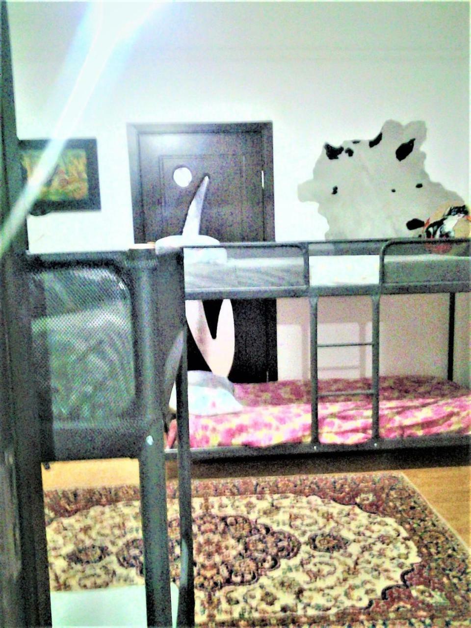Leyla Hostel Брашов Екстер'єр фото